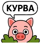 Курва